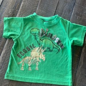18m Dinosaur Shirt